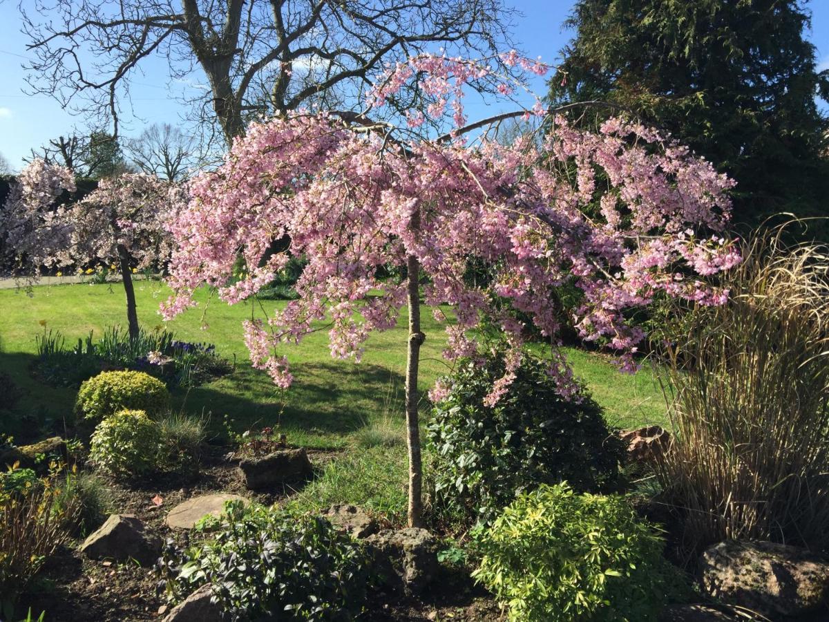 Orchard Side Bed And Breakfast Hanley Swan Exteriör bild